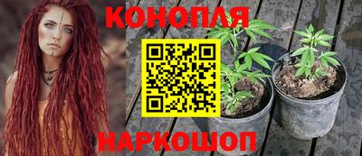 spice Абинск
