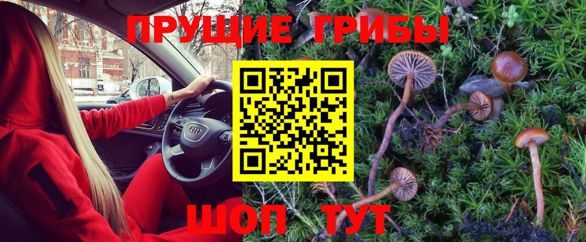 Галлюциногенные грибы Psilocybe  купить наркотики сайты  Ангарск  Вход с VPN  Псилоцибиновые грибы ЛСД 